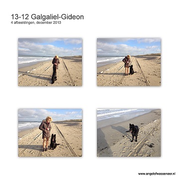 Mooie foto's van de 6 maanden jonge Galgaliël-Gideon